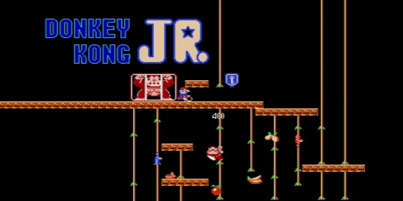 Donkey Kong Jr.